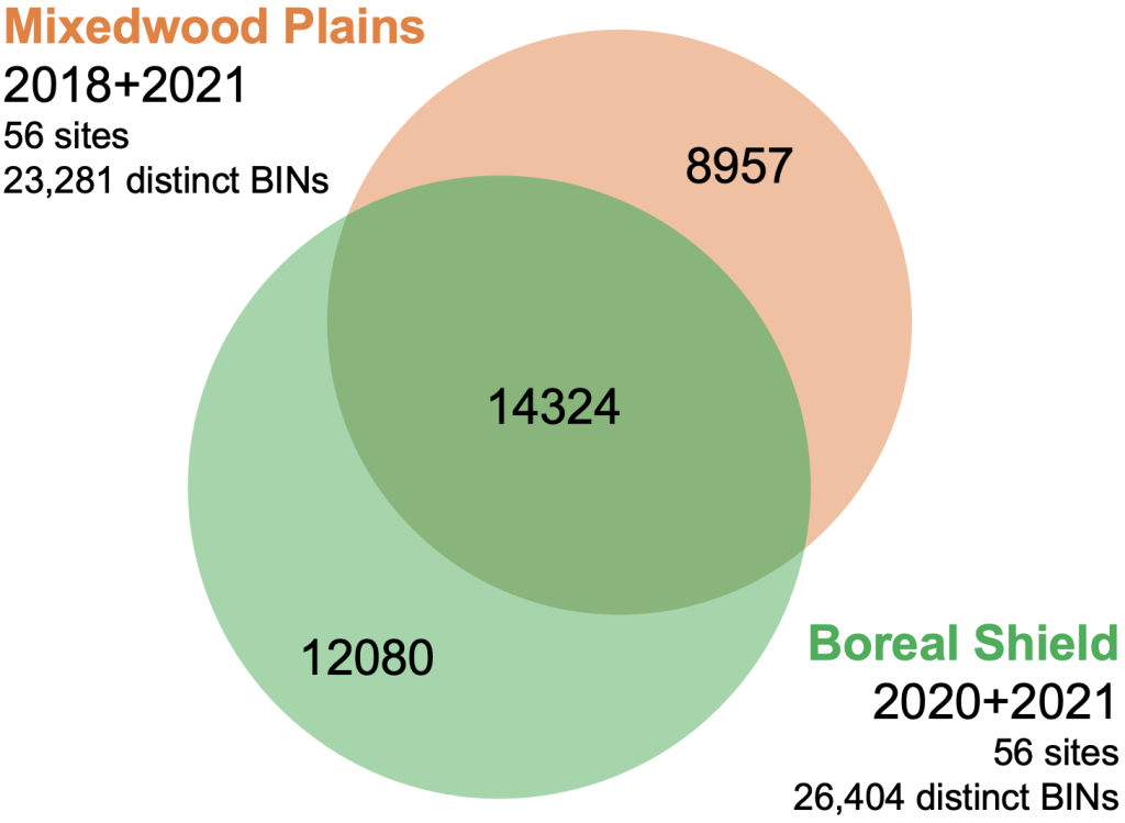 A Venn diagram showing the species overlap for samples collected in the Mixedwood Plains and Boreal Shield ecoregions in 2020 and 2021.