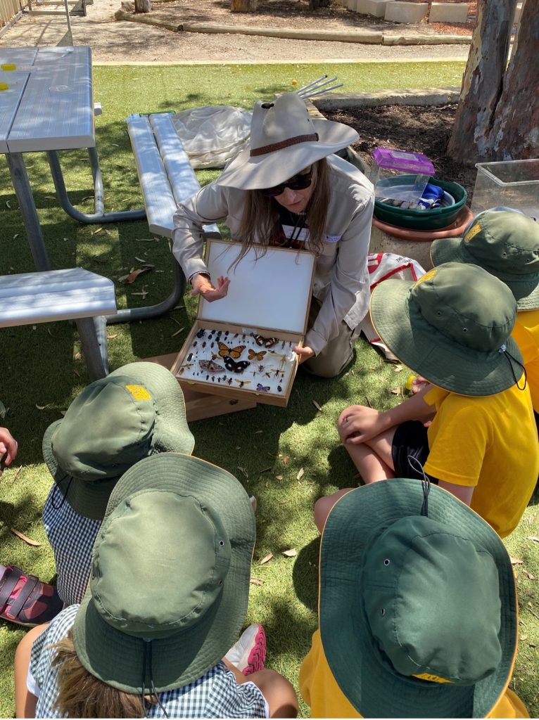 Teacher in safari style hat crouches down to show group of school kids a box of butterflies.