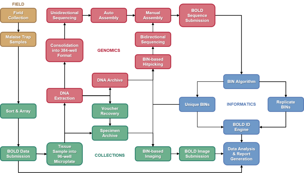 A workflow diagram showing the pipeline from specimen acquisition through processing, DNA sequencing, BIN assignment, and Data Reporting.